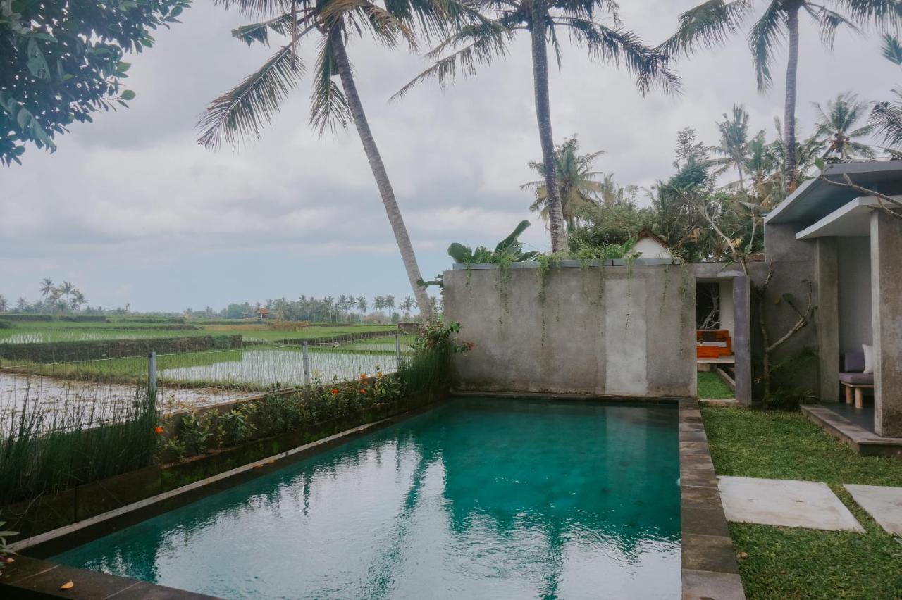 Anggira Villa Ubud Eksteriør billede