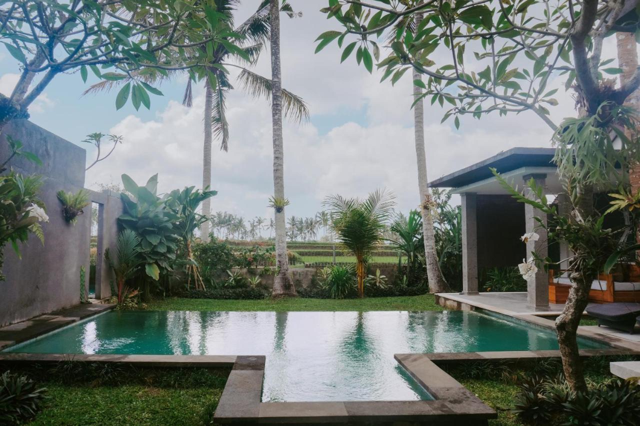 Anggira Villa Ubud Eksteriør billede