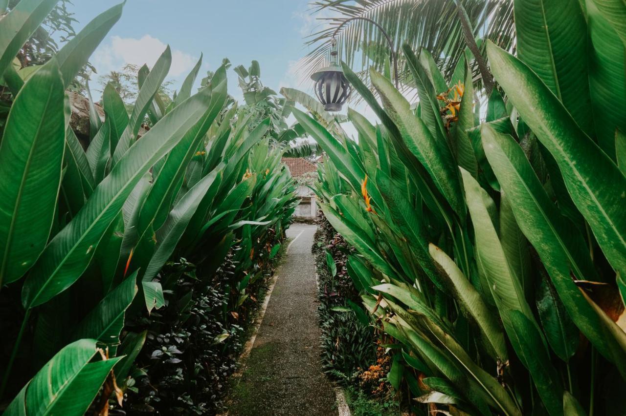 Anggira Villa Ubud Eksteriør billede